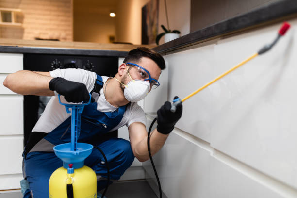 Best Commercial Pest Control Services  in Santa Fe, TX