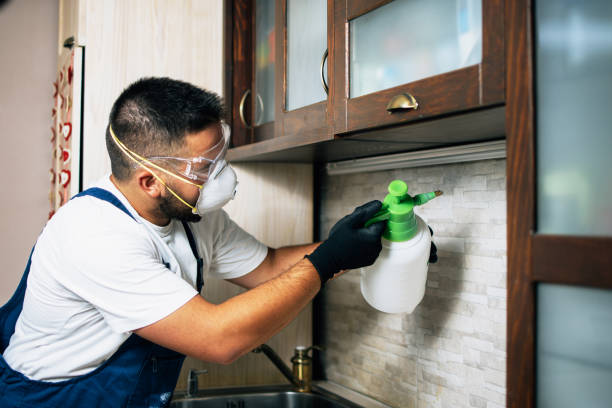 Best Pest Control for Businesses  in Santa Fe, TX