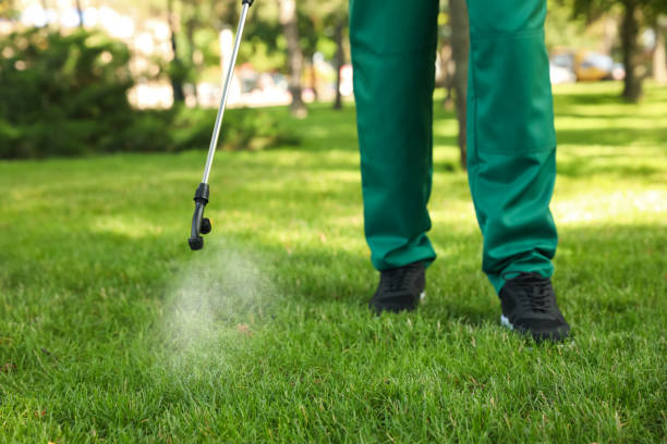 Best Exterminator Services  in Santa Fe, TX