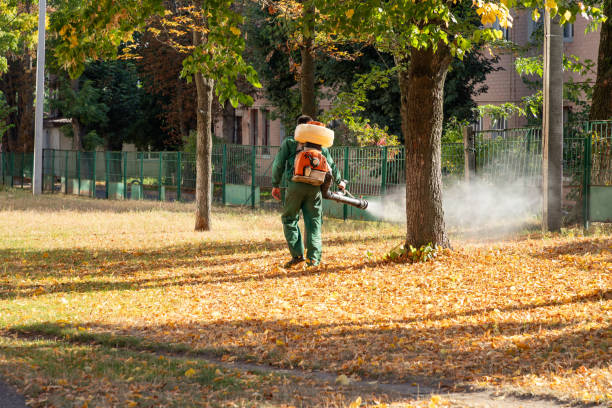 Best Pest Prevention Services  in Santa Fe, TX