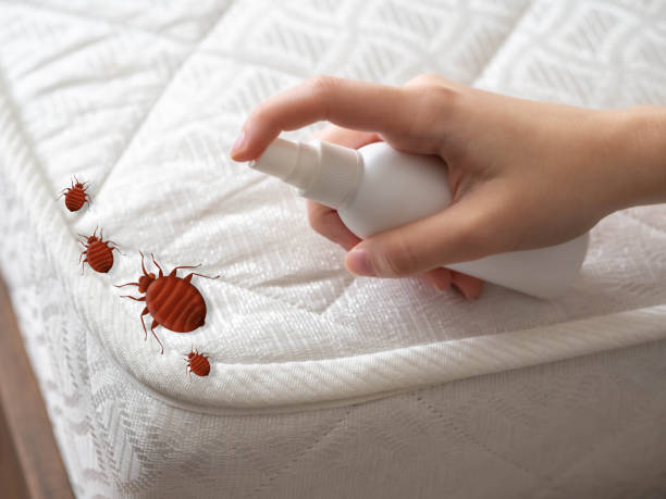 Best Pest Removal Services  in Santa Fe, TX
