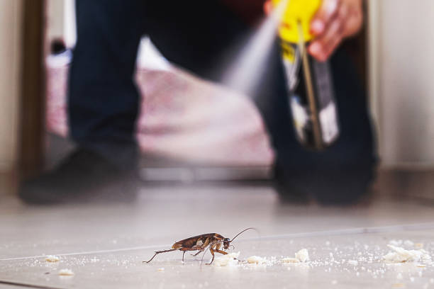 Professional Pest Control in Santa Fe, TX