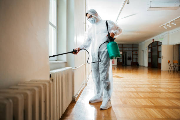 Best Pest Control for Homes  in Santa Fe, TX