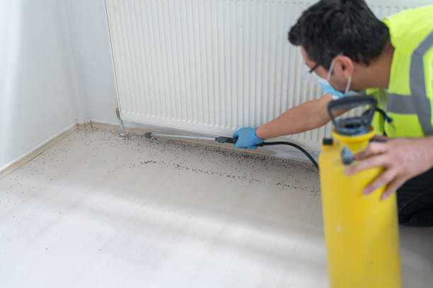 Pest Prevention Services in Santa Fe, TX