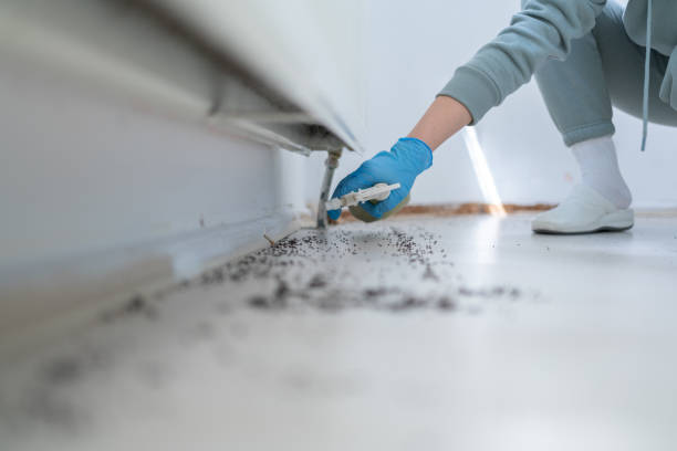 Best Emergency Pest Control  in Santa Fe, TX
